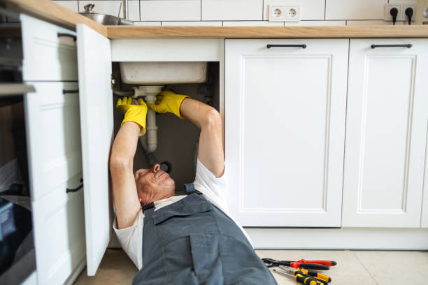 Best Commercial Plumbing Services  in Minnetonka, MN